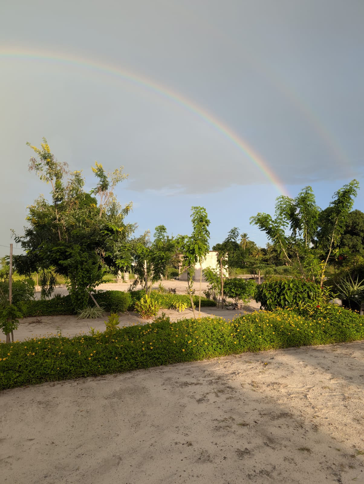 Zanzibar garden